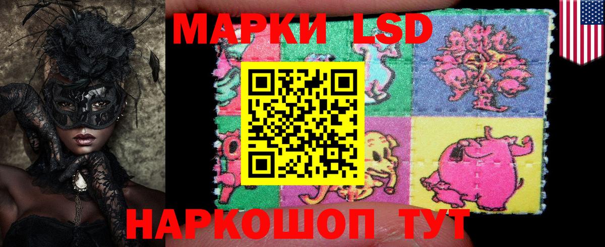 Наркотические марки  Наркотические марки 1,5мг  Хасавюрт  Вход с VPN  Наркотические марки 1,5мг 