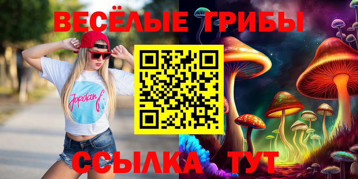 Псилоцибиновые грибы Psilocybe  Псилоцибиновые грибы ЛСД  Хасавюрт  Вход с VPN 